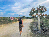 Safari Bar