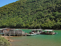 Muschel- und Austernzüchter