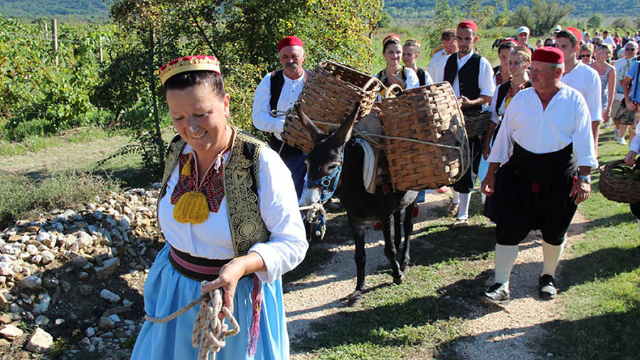 Agrotourismus Konavle - Dalmatien