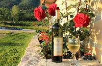 Agrotourismus Konavle - Wein