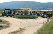 Agrotourismus Konavle - Weinbahn