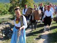 Agrotourismus Konavle