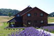 Agrotourismus Japodi - Lavendelfeld