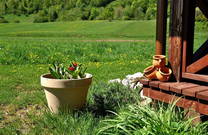 Agrotourismus Japodi - Natur