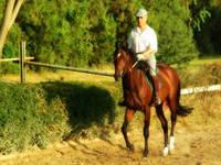 Agrotourismus Japodi - 