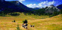Linden Tree Retreat & Ranch - Reiten im Velebit Gebirge
