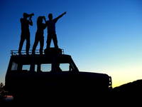 Linden Tree Retreat & Ranch - Safari