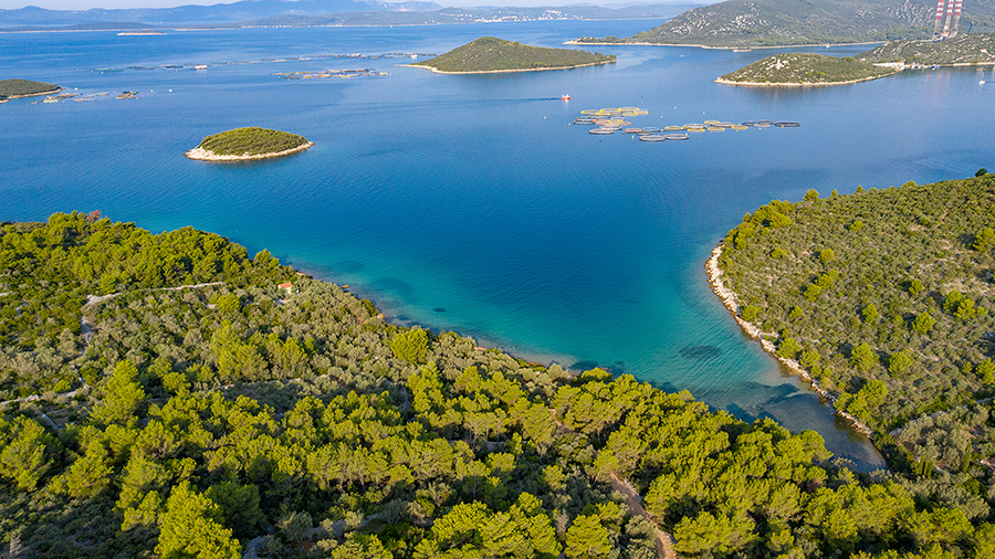 Bucht Mala Sabusa, Insel Ugljan