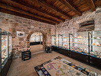 Malakologische Museum des Franziskanerklosters - Malakološki muzej