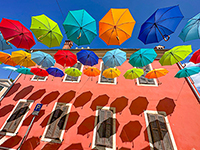 Regenschirme, Novigrad