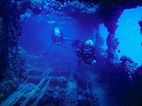 Unterwasserwelt, Rovinj