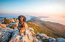 Ausblick Osoršćica