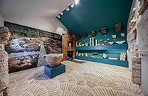 Archäologische Sammlung, Sv. Vid