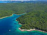 Wald Dundo, Insel Rab