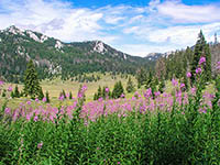 Nationalpark Nördlicher Velebit