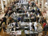 Fischmarkt in Kroatien