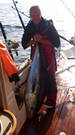 Abyss Fishing Rovinj - Big Game Fisher mit großem Thun