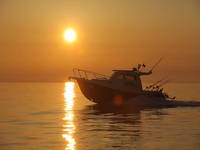 Abyss Fishing Rovinj - Nachtfischen