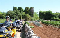 Quadtour mit großer Gruppe