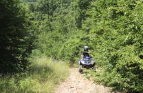 Adrius Krk - Natur genießen