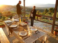 Hvar Adventure -  Olivenöltour & Weinprobe - Insel Hvar, Dalmatien, Kroatien