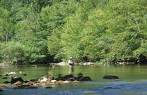 Kupa Sports - Fliegenfischer