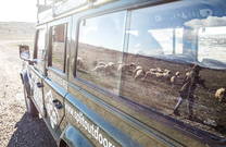 Jeep Safari - Fotomotive Perspektive