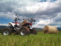 Quadverleih - Split Outdoor Adventure