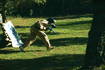 Green Garden Pula - Paintball spielen