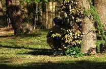 Green Garden Entertainment Center Pula - Deckung Paintball