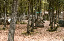 Paintball Areal Lanterna, Tar
