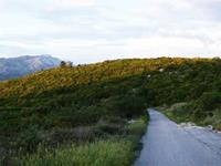 Radrouten Stadt Korcula