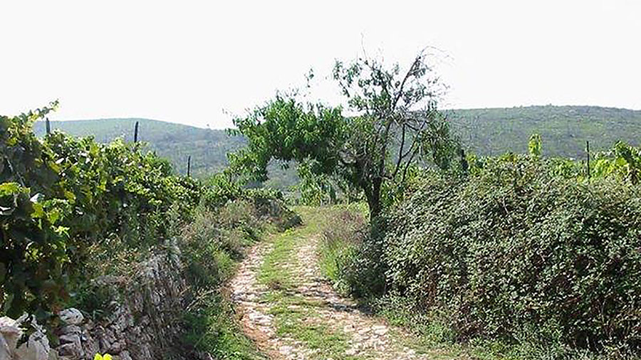 Makadamweg - Radrouten Smokvica