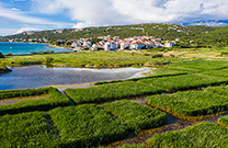 Moor- Schilfgebiet, Novaljsko Polje
