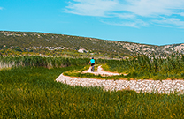 Feldweg, Novaljsko Polje
