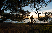 Sonnenuntergang, Fahrrad, Meer
