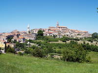 Radroute Momjaner Muskat