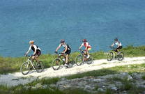 Radfahren Umag-Novigrad - Radweg an der Küste