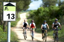 Radfahren Umag-Novigrad - Markierte Radwege