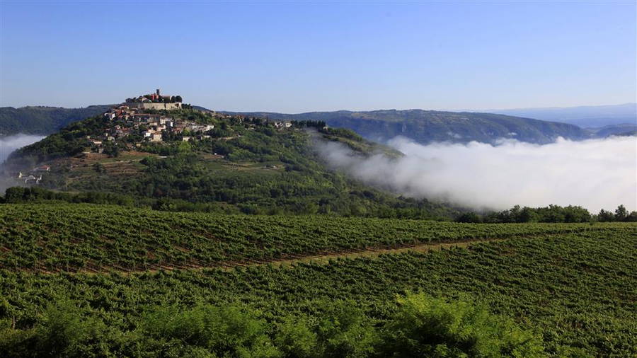 Radroute Motovun Süd
