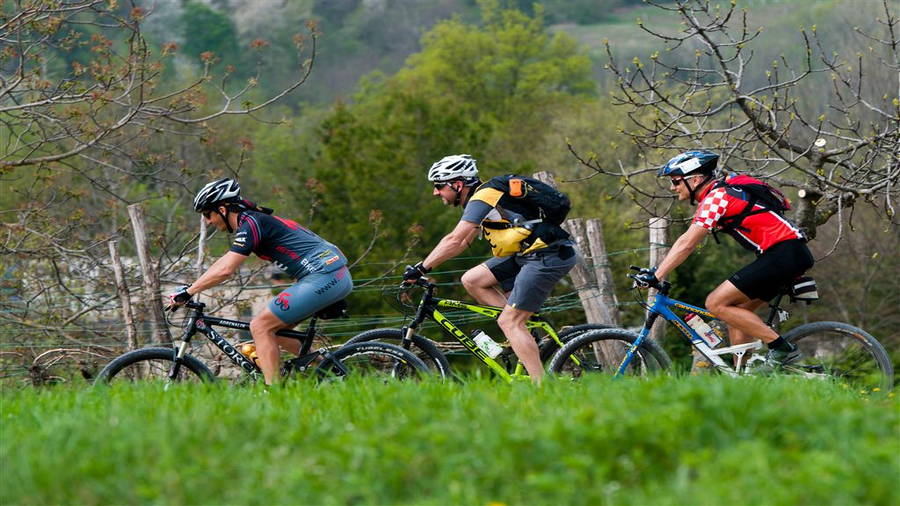 Pazin - Radtour Pazin Ost