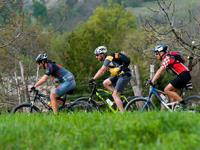 Radroute Pazin Ost über Gracisce