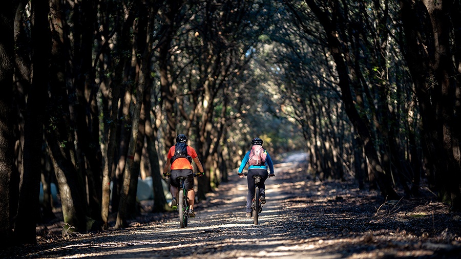 Kalifront, Insel Rab