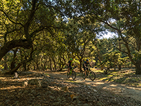 Radroute Capo Fronte