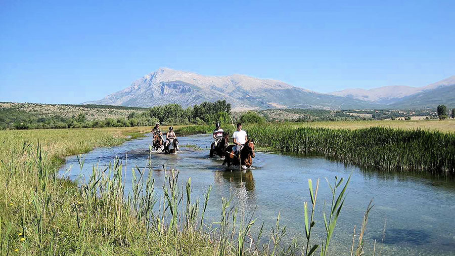 Reiten Dalmatien, Kroatien