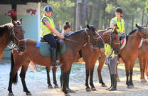 Vorbereitung Ausritt