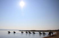 Reitergruppe am Meer