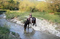 Rast am Bachlauf, Istrien