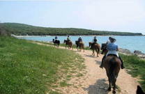 Reitausflug, Küste Istrien