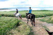 Landschaft erkunden, Ausritt Küste